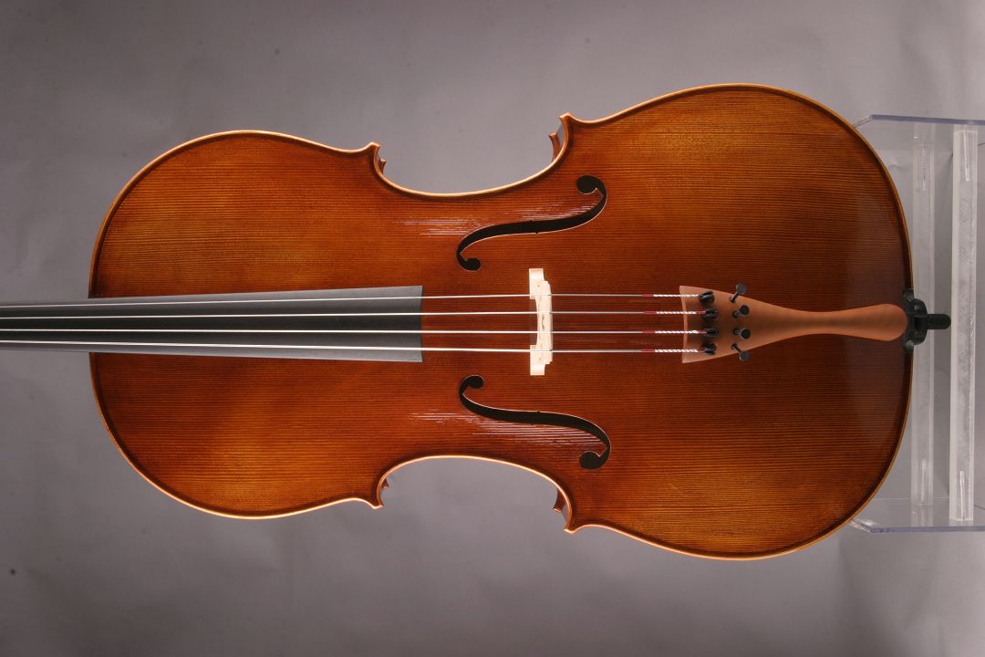 Leonhardt Rainer W. - Mittenwald Anno 2021 - "Spring" - 7/8 Cello - C-184